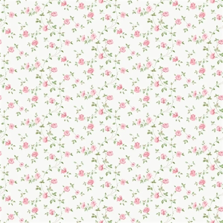 Galerie G67889 - Modern Rose Trail Pink