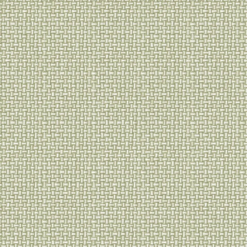 Holden 91601 - Biderbost Weave Green