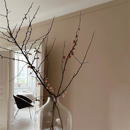 Elegant stue med beige væg malet med KEIM Innostar, gren dekoration og moderne interiør