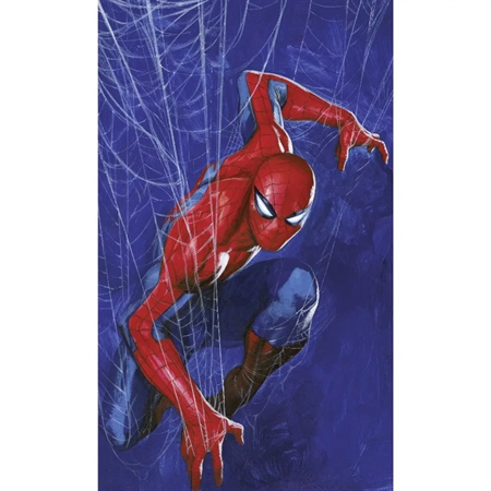 Disney Fototapet - Marvel Spiderman