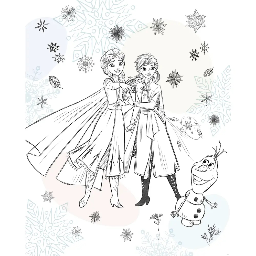 Disney Fototapet - Frost