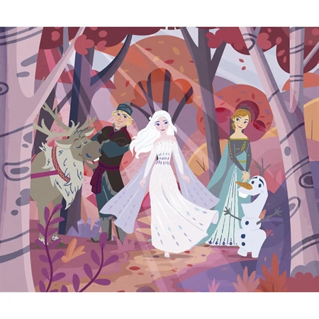 Disney Fototapet - Frost