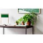 Moderne væg dekoreret med non-woven savsmuldstapet, kombineret med minimalistisk interiør og planter