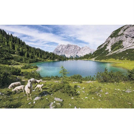 OUTLET: Komar Fototapet - Paradise Lake