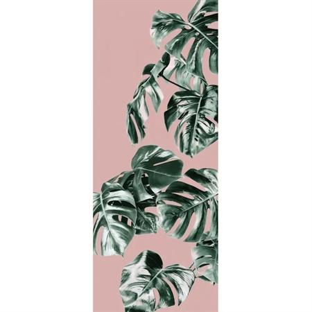 OUTLET: Komar Fototapet - Monstera Rosé