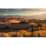 OUTLET: Komar Fototapet - Toskanagold