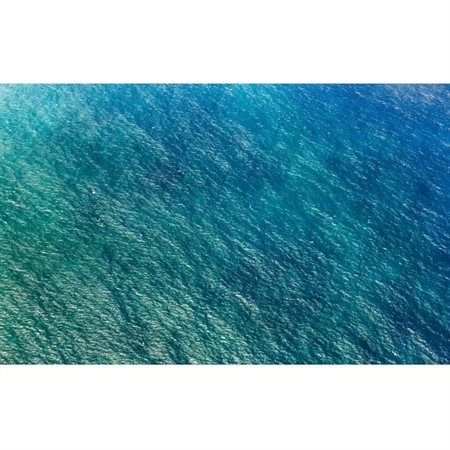 OUTLET: Komar Fototapet - Blaupause