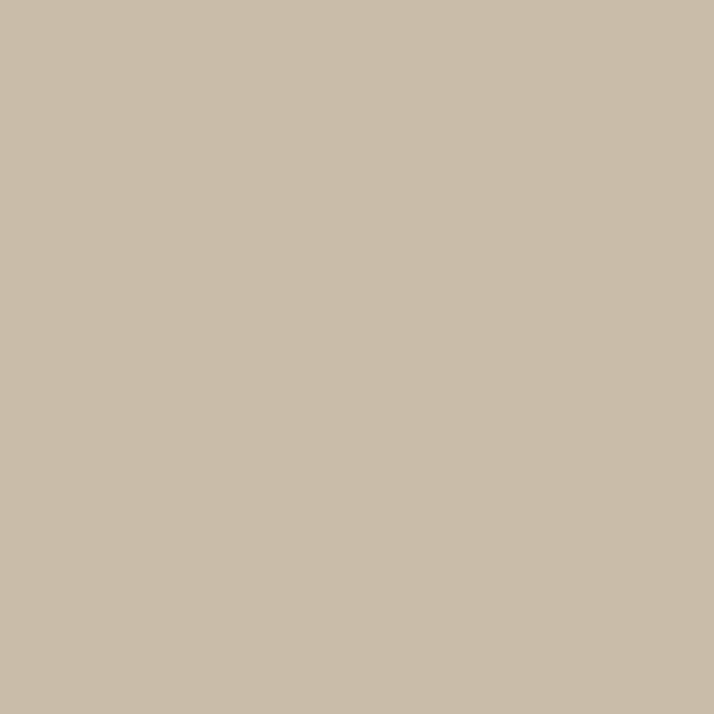 Beige Sheen 12299 (Jotun)