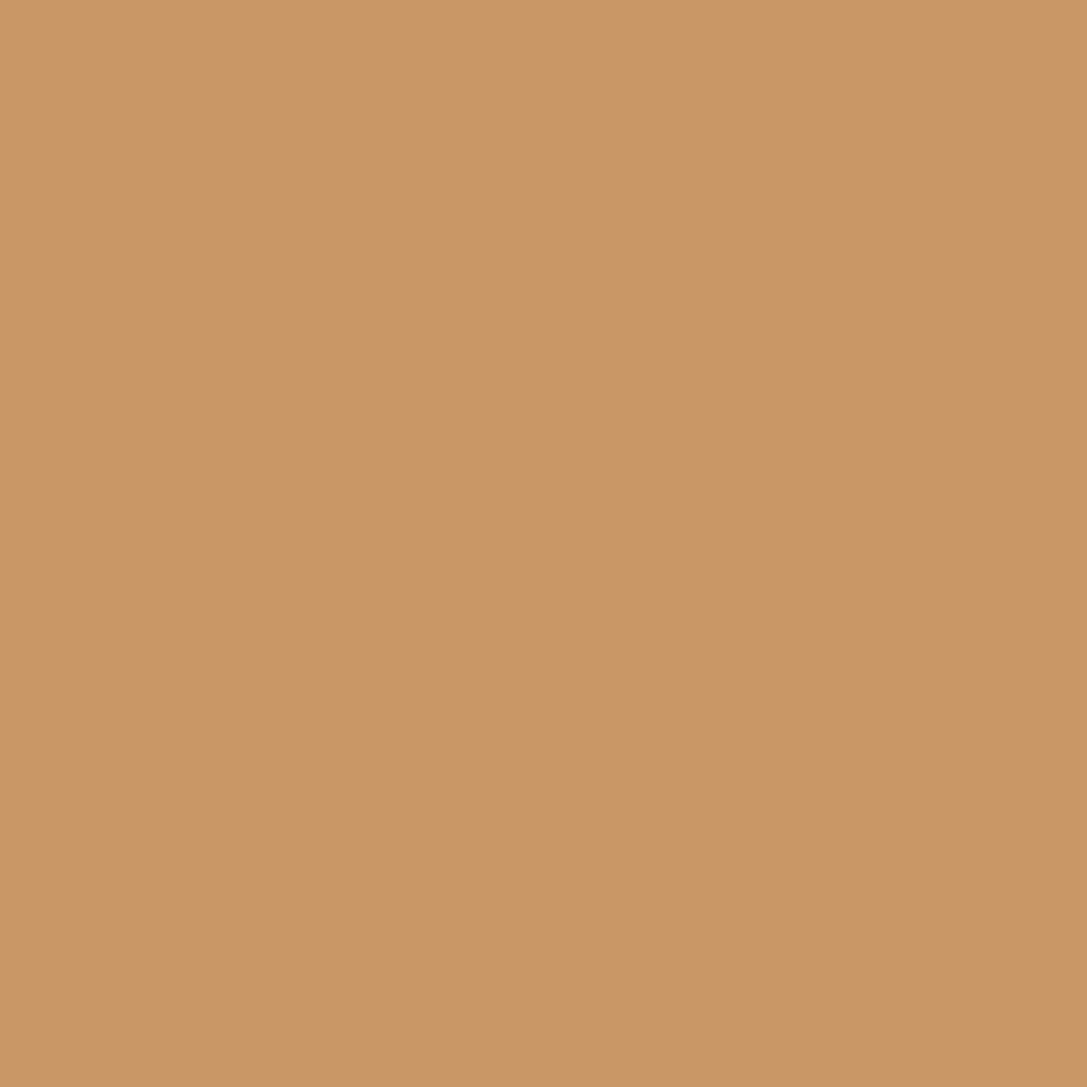 Burnt Ochre 1536 (Jotun)