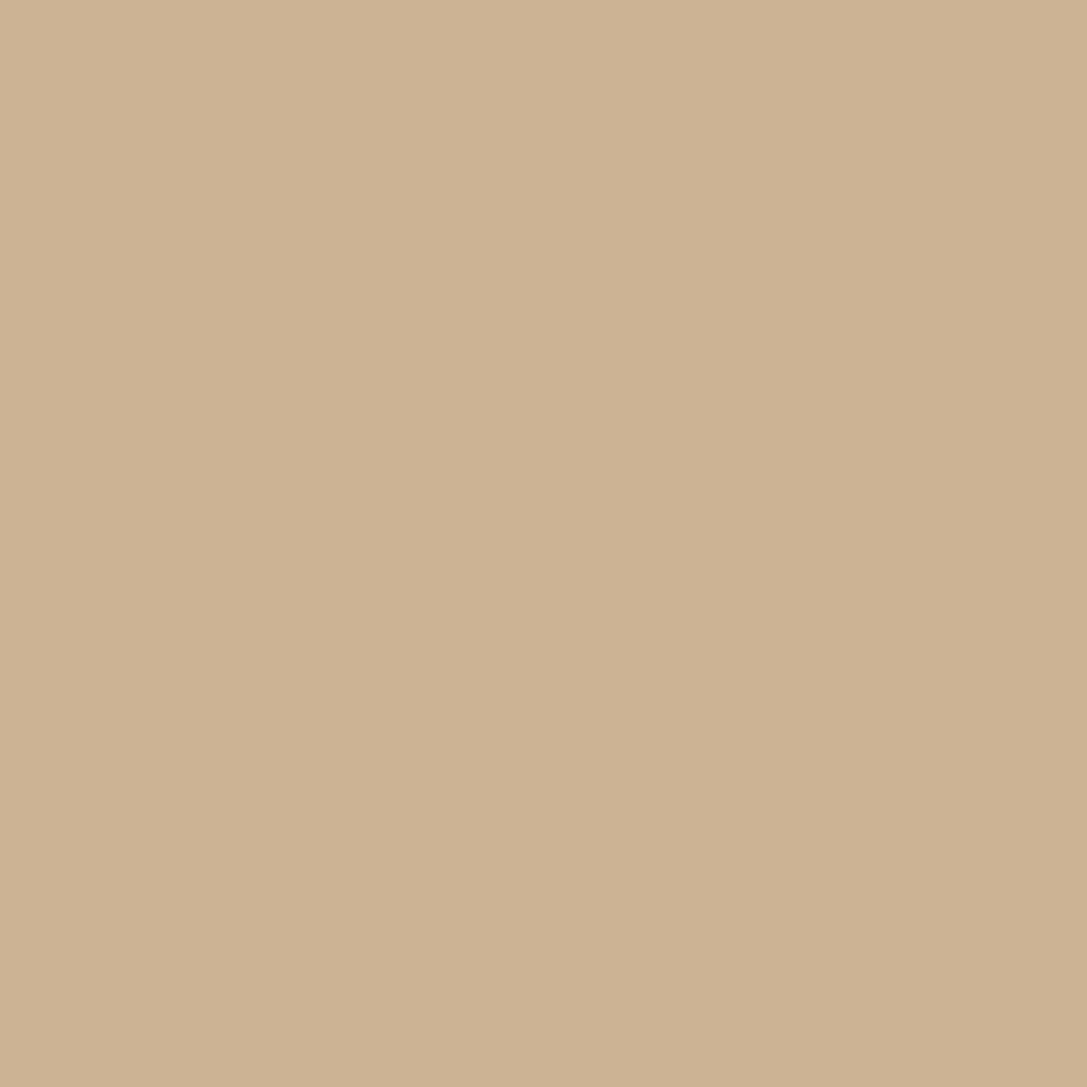 Caravan 0280 (Jotun)
