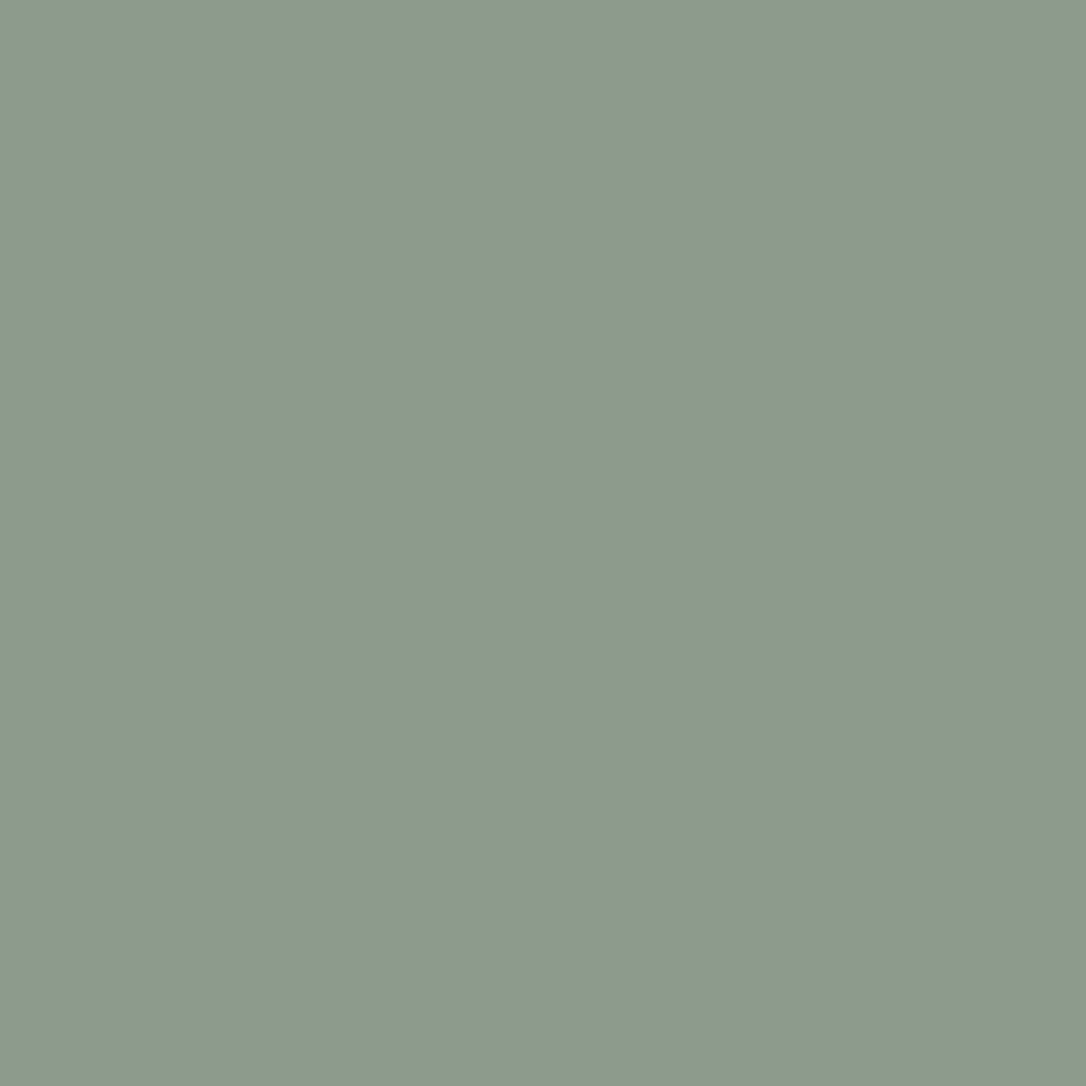 Dusty Green 7543 (Jotun)