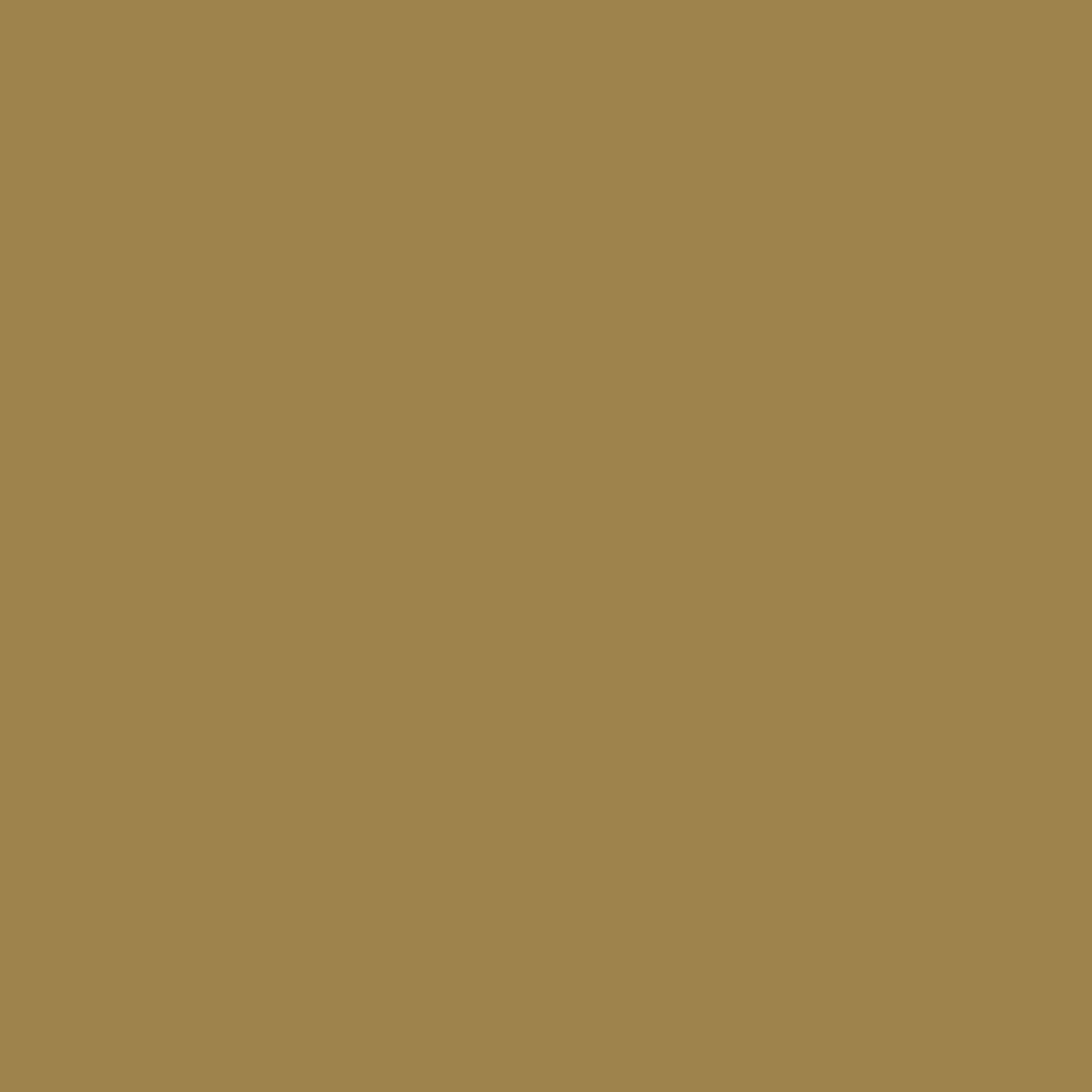 Ivy Dirt 8362 (Jotun)