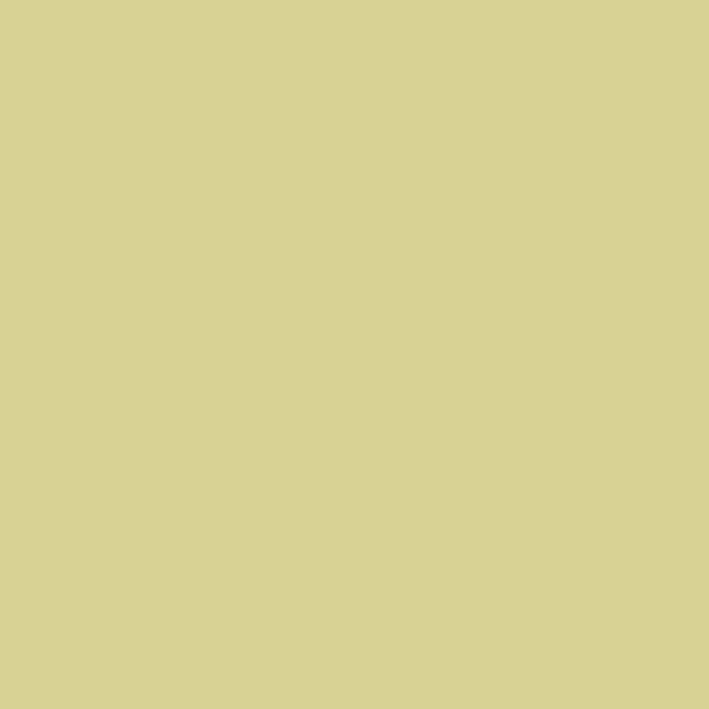 Kiwi 8265 (Jotun)
