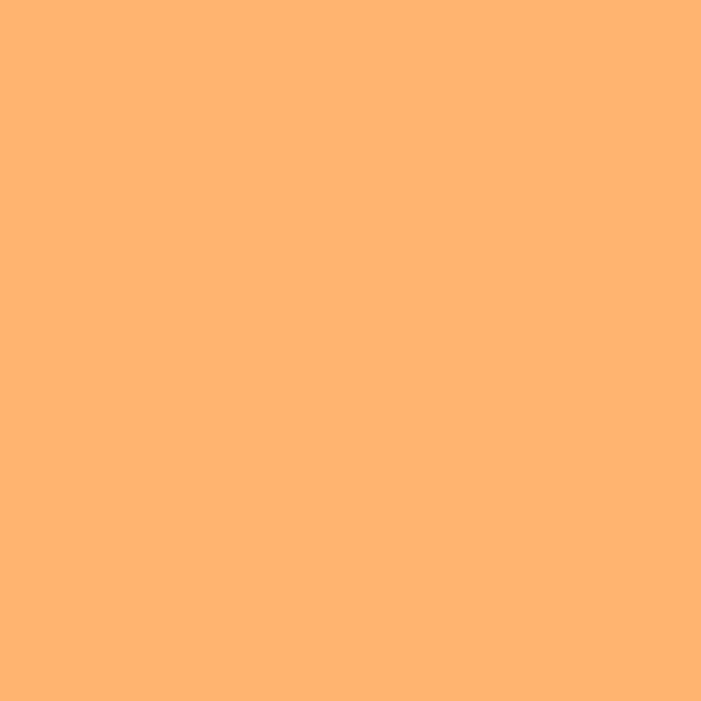 NCS S 0550-Y30R (NCS Farvekort)