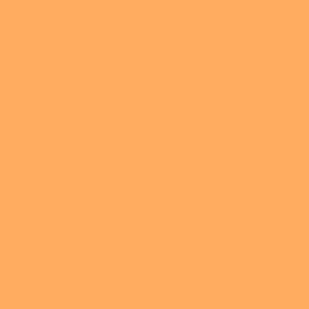 NCS S 0560-Y30R (NCS Farvekort)