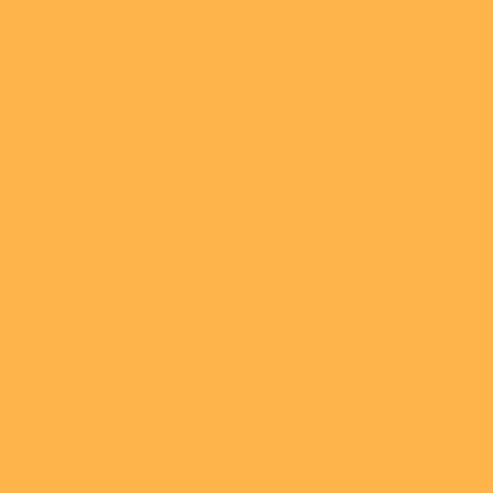 NCS S 0570-Y20R (NCS Farvekort)