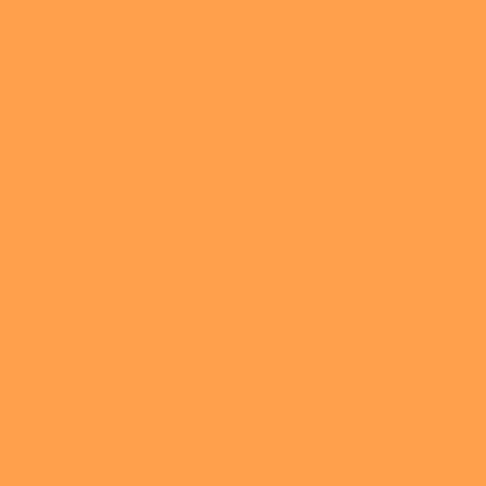 NCS S 0570-Y30R (NCS Farvekort)