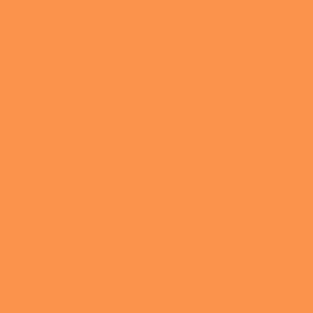 NCS S 0570-Y40R (NCS Farvekort)