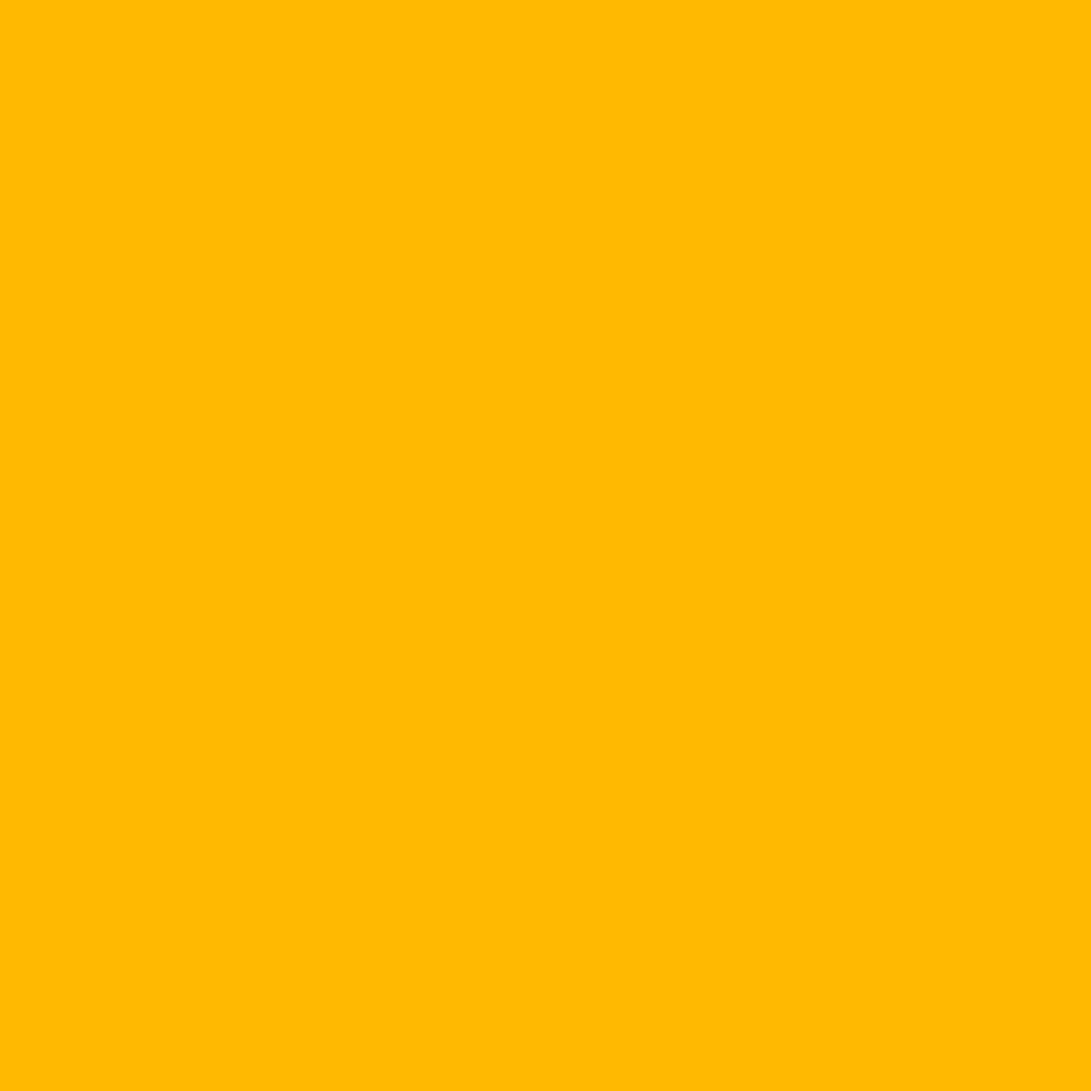 NCS S 0580-Y10R (NCS Farvekort)