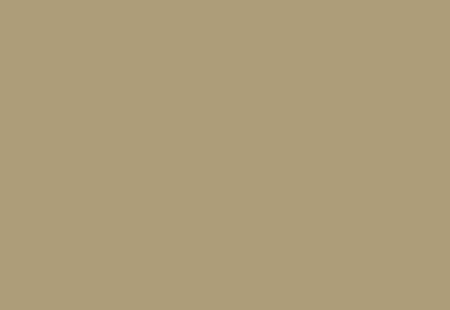 8625 Khaki Yellow